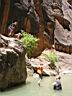 075_zion.jpg